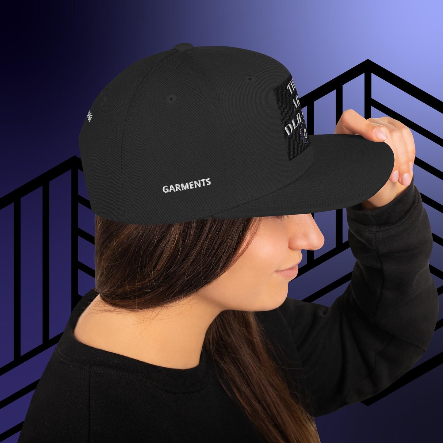 "THE ART DLR-SHP" Snapback Hat