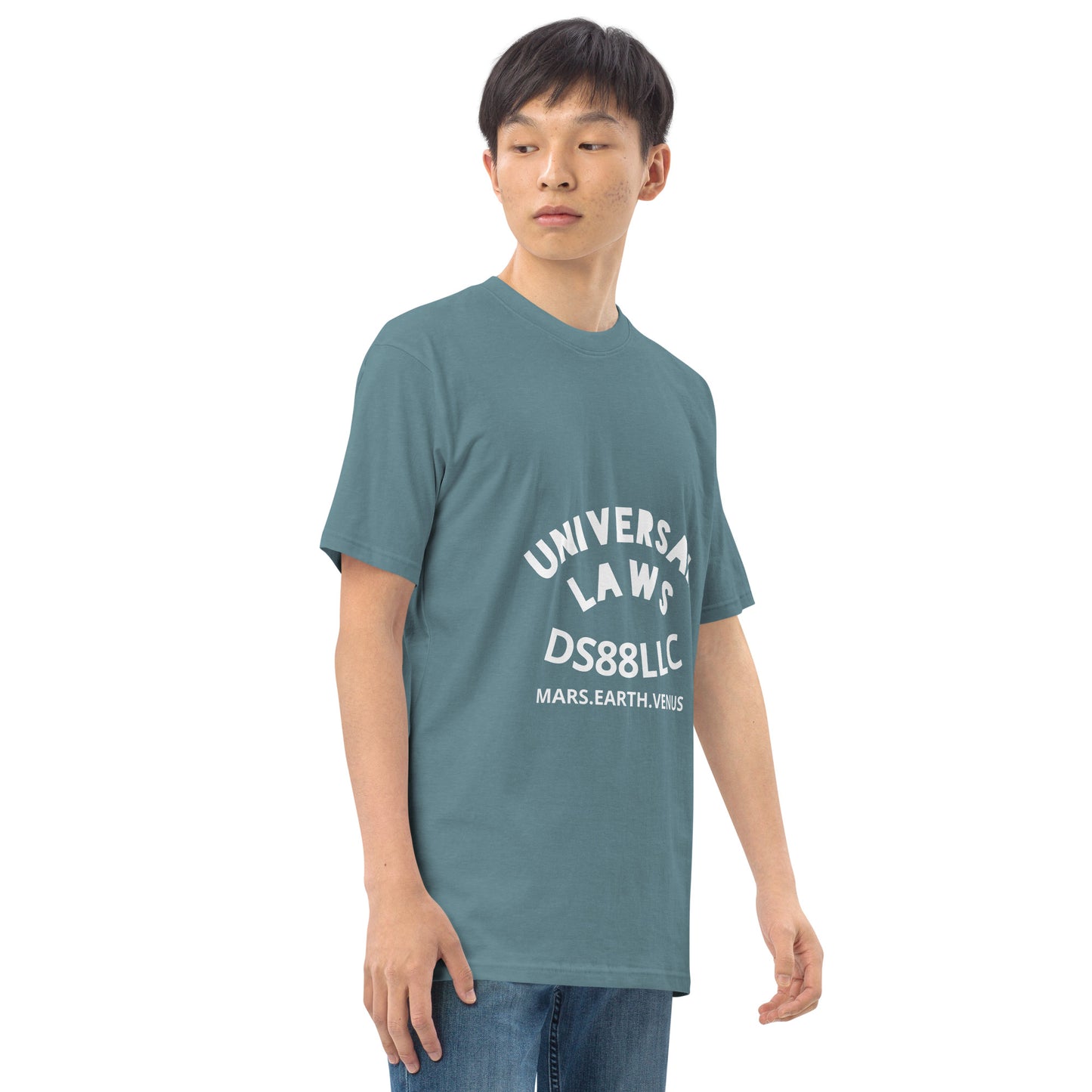 "UNIVERSAL LAWS" Men’s premium heavyweight tee