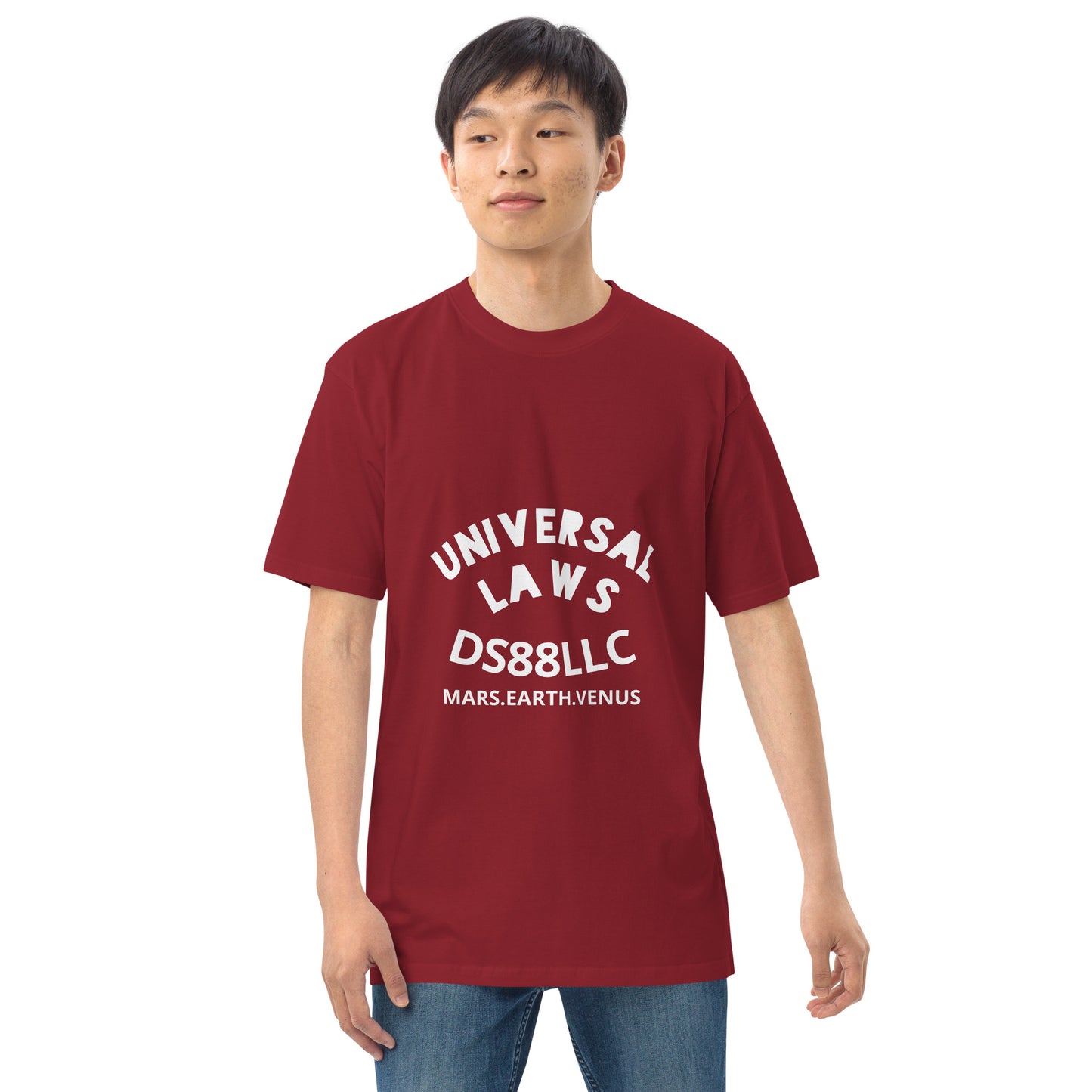 "UNIVERSAL LAWS" Men’s premium heavyweight tee
