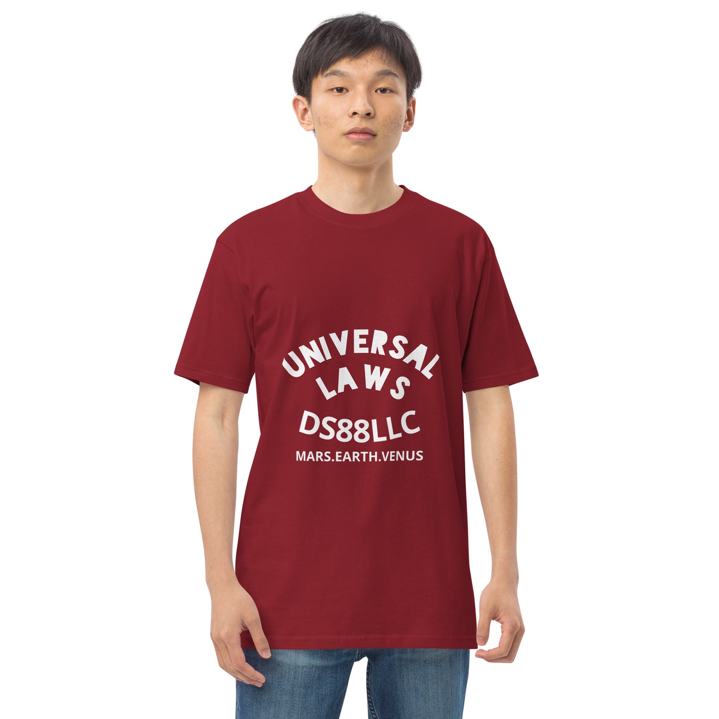 "UNIVERSAL LAWS" Men’s premium heavyweight tee
