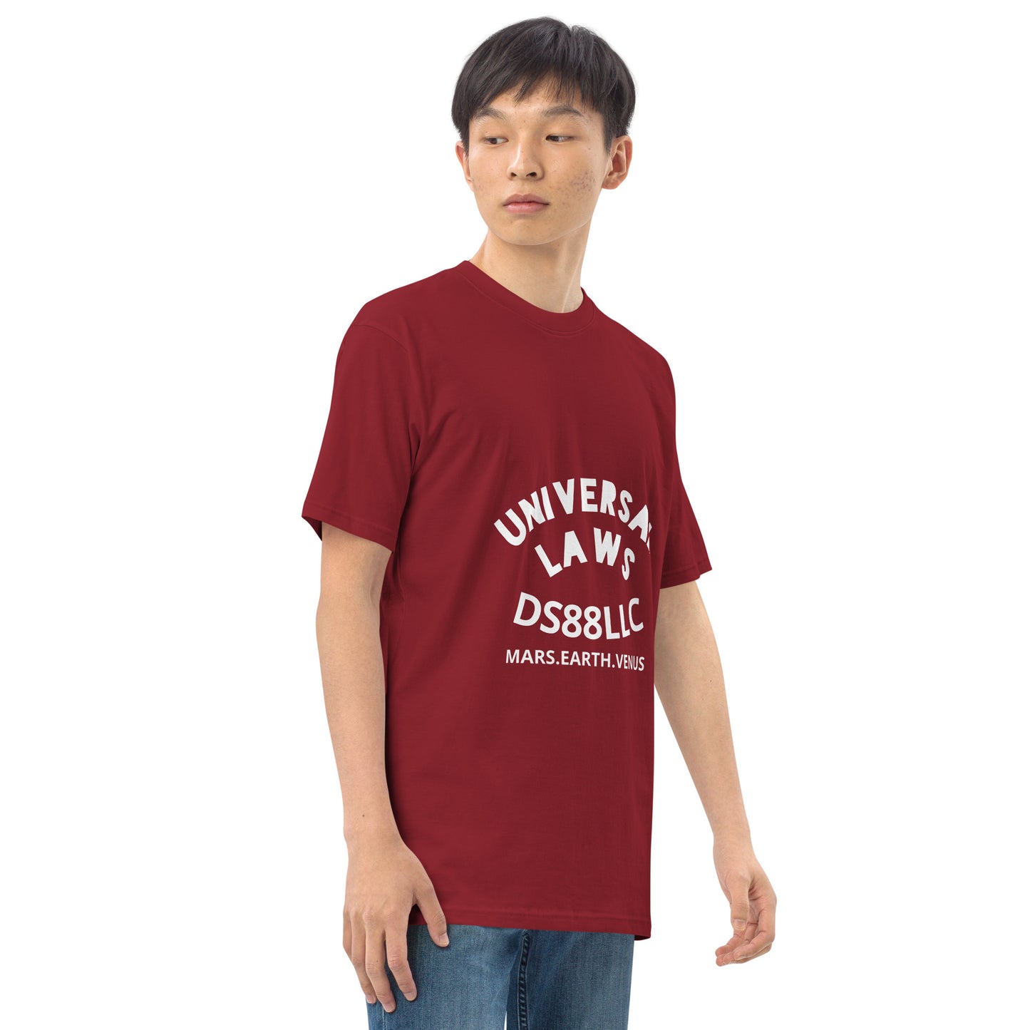 "UNIVERSAL LAWS" Men’s premium heavyweight tee