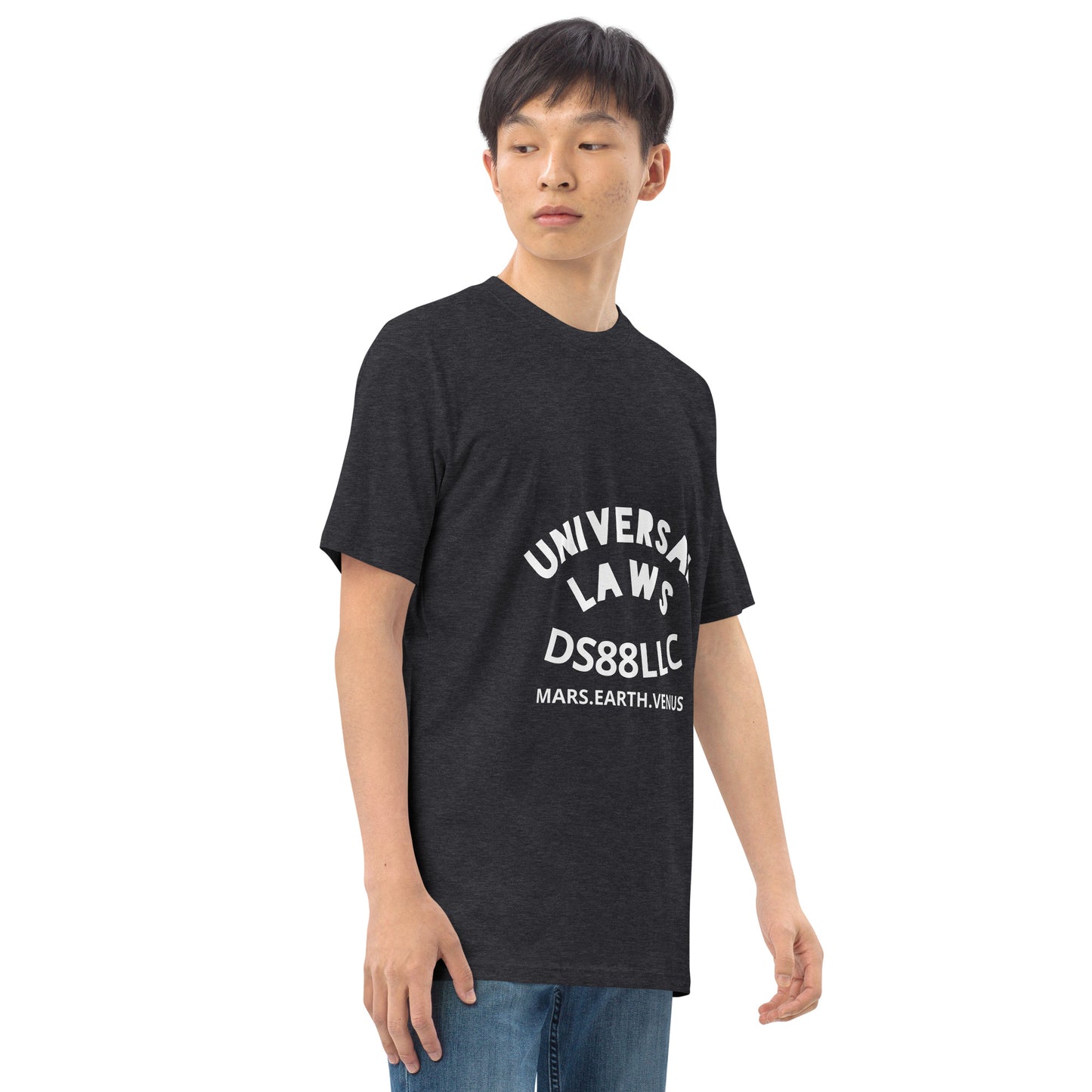"UNIVERSAL LAWS" Men’s premium heavyweight tee