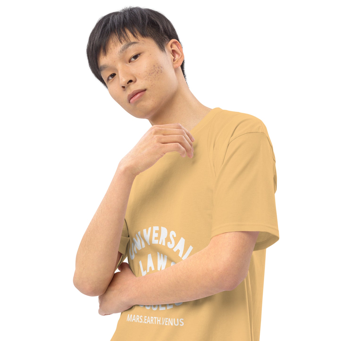 "UNIVERSAL LAWS" Men’s premium heavyweight tee