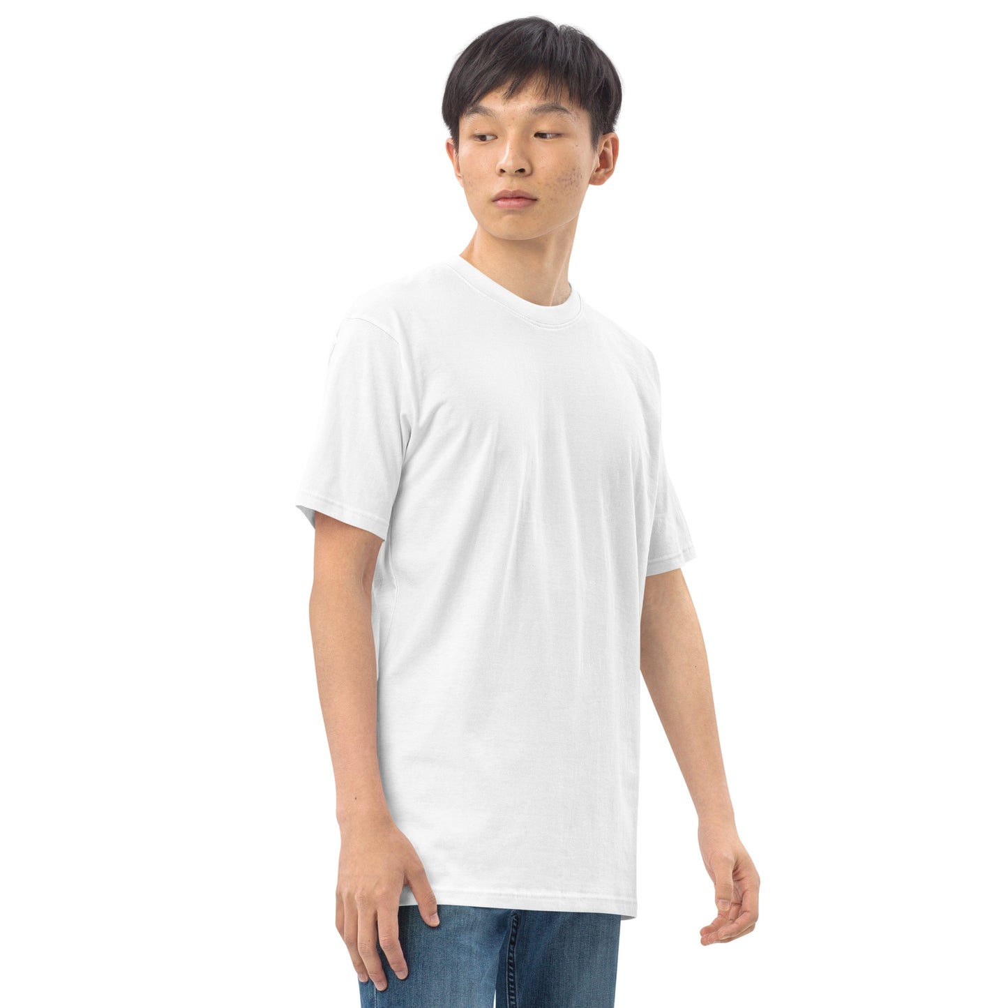 "UNIVERSAL LAWS" Men’s premium heavyweight tee